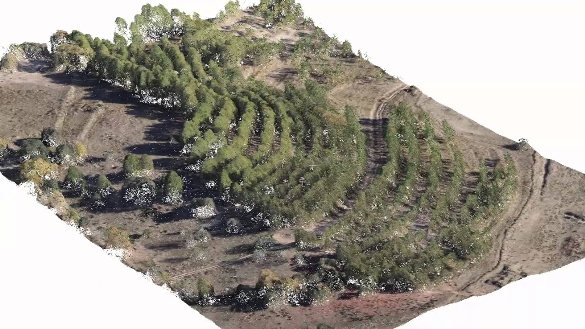 A Forest-lidar Guru Turns To SfM (...plus Lidar) | Geo Week News ...