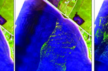 Leica claims 4x bathy lidar point density with new upgrade